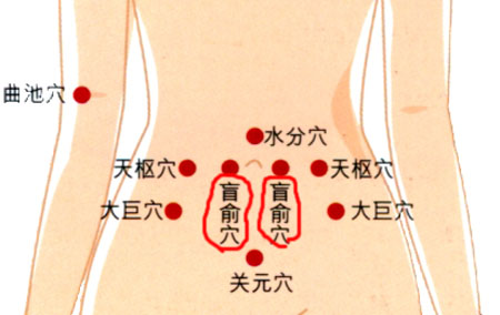 盲俞穴→治腹脹、便秘