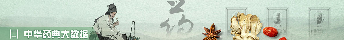 中華藥典大數(shù)據(jù)