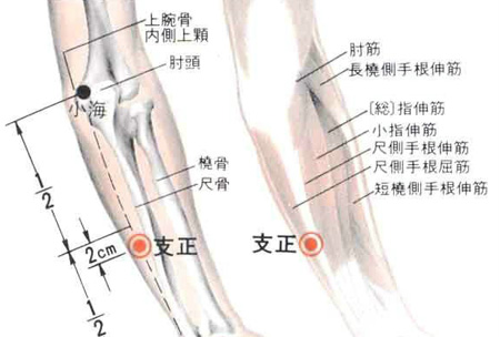 支正穴→治頭痛、目眩