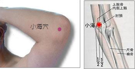 小海穴→治貧血、頭痛