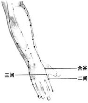 三間穴→治牙痛、腹脹