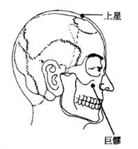 巨髎穴→清熱息風