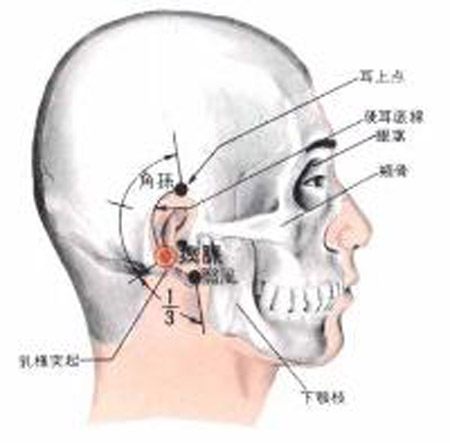 瘈脈穴→頭痛、耳聾