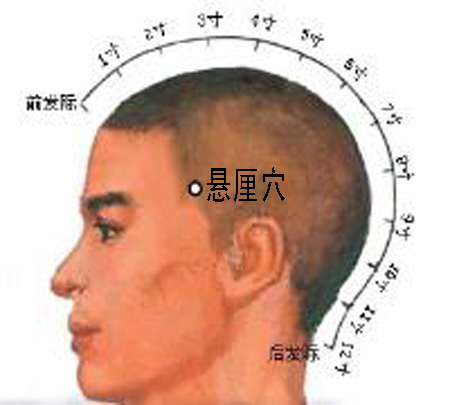 懸厘穴→治偏頭痛、面腫