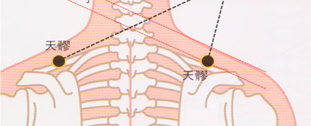 天髎穴→預防肩關節(jié)炎