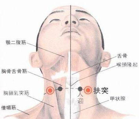 扶突穴→治干咳、氣喘