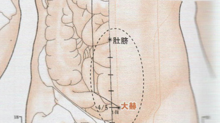 天赫穴→益腎固陽(yáng)