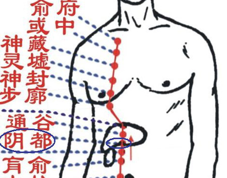 陰都穴→治腹脹、胃痛