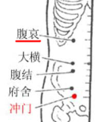 腹哀穴→治腹痛、便秘