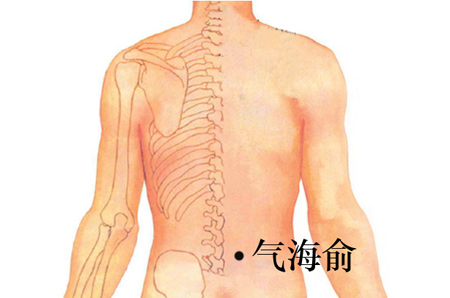 氣海俞穴→益腎壯陽