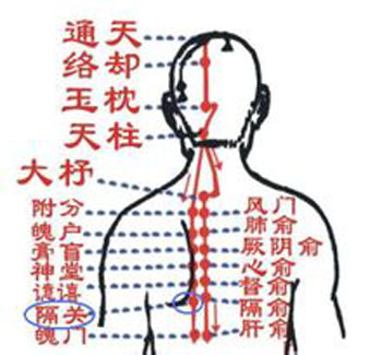 膈關(guān)穴→治胸悶、噯氣