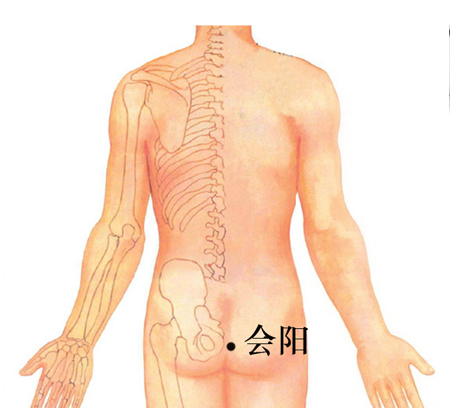 會陽穴→治泄瀉、便血