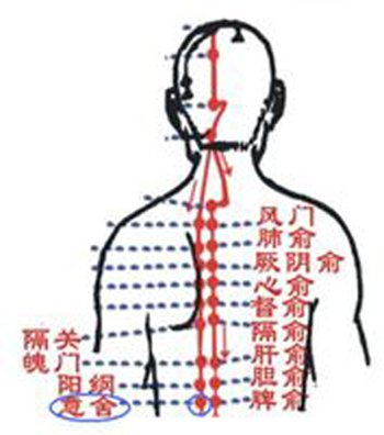 意舍穴→治腹脹、腸鳴