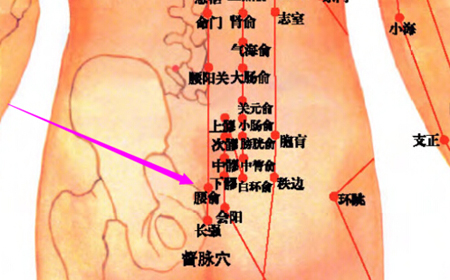 腰俞穴→治腰脊強痛