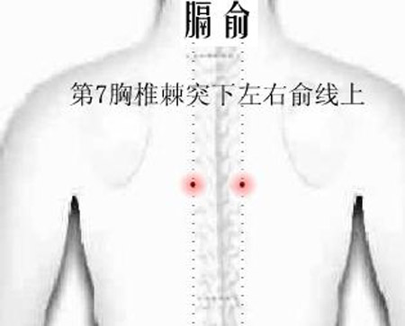 膈俞穴→治嘔吐、呃逆