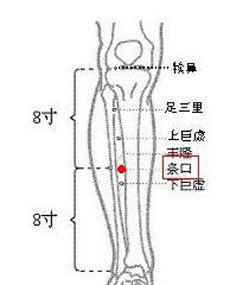 條口穴→理氣和中