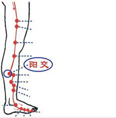 陽交穴→治胸肋脹滿疼痛