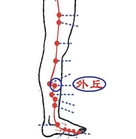 外丘穴→治頸項強痛