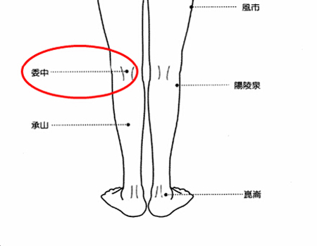 委中穴→治腰痛、腹痛。