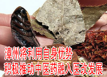 漳州將利用自身優(yōu)勢 積極推動中醫(yī)藥融入醫(yī)改發(fā)展