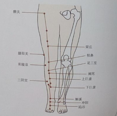 針灸治療便秘哪個(gè)穴位