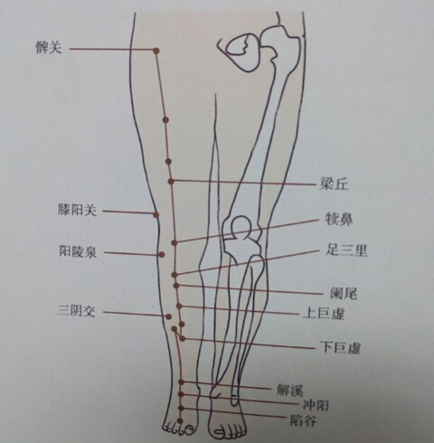 消化不良中醫(yī)針灸怎么調理