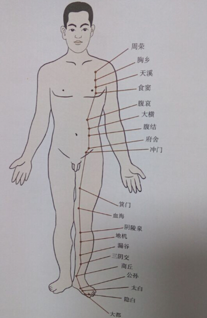 足太陰脾經(jīng)拔罐線(xiàn)路