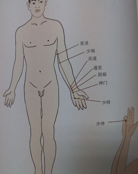 手少陰心經(jīng)拔罐線路 