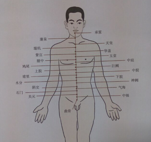 任脈拔罐線路