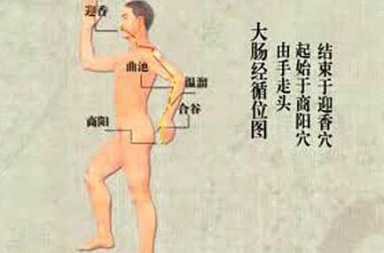 刮痧刮大腸經(jīng)，可以清理腸道、排出宿便