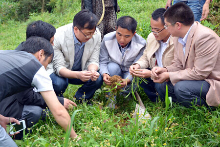 貴州：李廷學視察縣中藥材種植情況