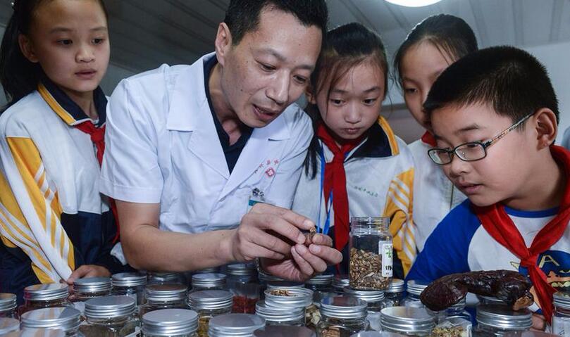 浙江建首家縣域小學中醫(yī)藥教育基地