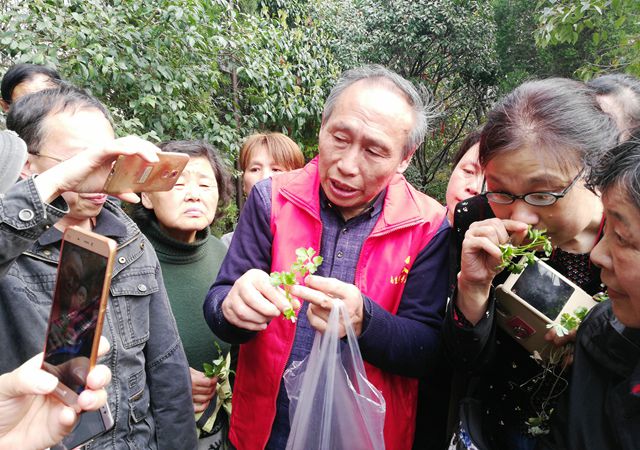 春游踏青尋百草，跟名中醫(yī)認(rèn)草藥