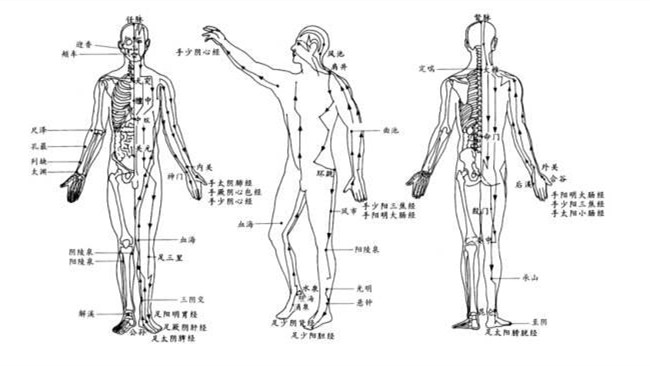 經(jīng)絡(luò)是人體經(jīng)脈和絡(luò)脈的總稱