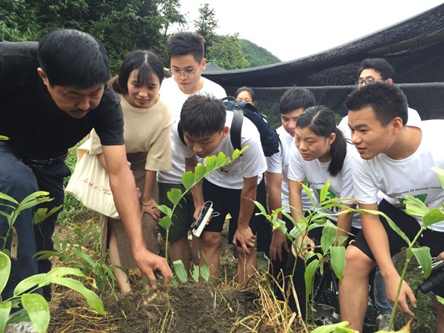 湖北中醫(yī)藥大學(xué)藥學(xué)院組織學(xué)生前往中藥材種植基地進(jìn)行暑期社會實踐活動