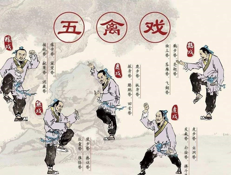 華佗，外科鼻祖，發(fā)明麻沸散、五禽戲