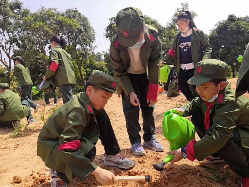 勞動(dòng)實(shí)踐：種植萱草