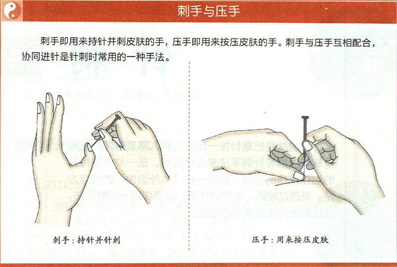 一般針法的運用原則是什么？