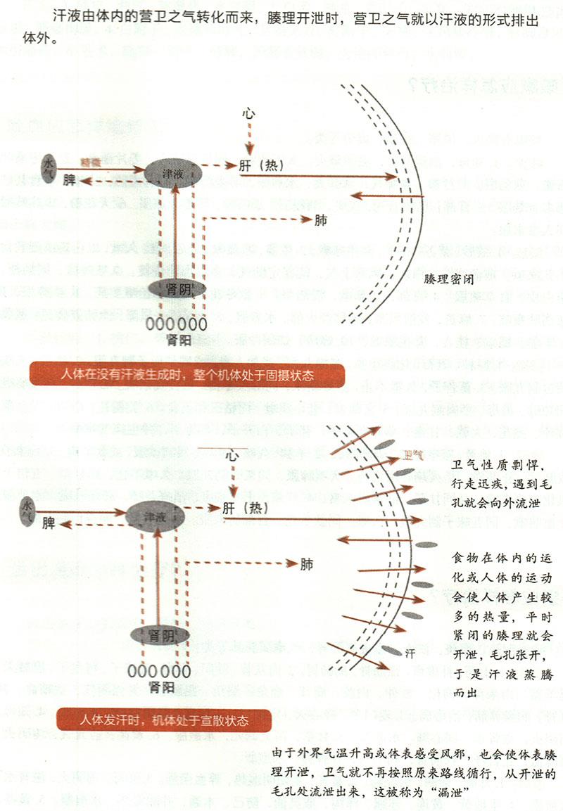 諸汗應(yīng)怎樣治療？