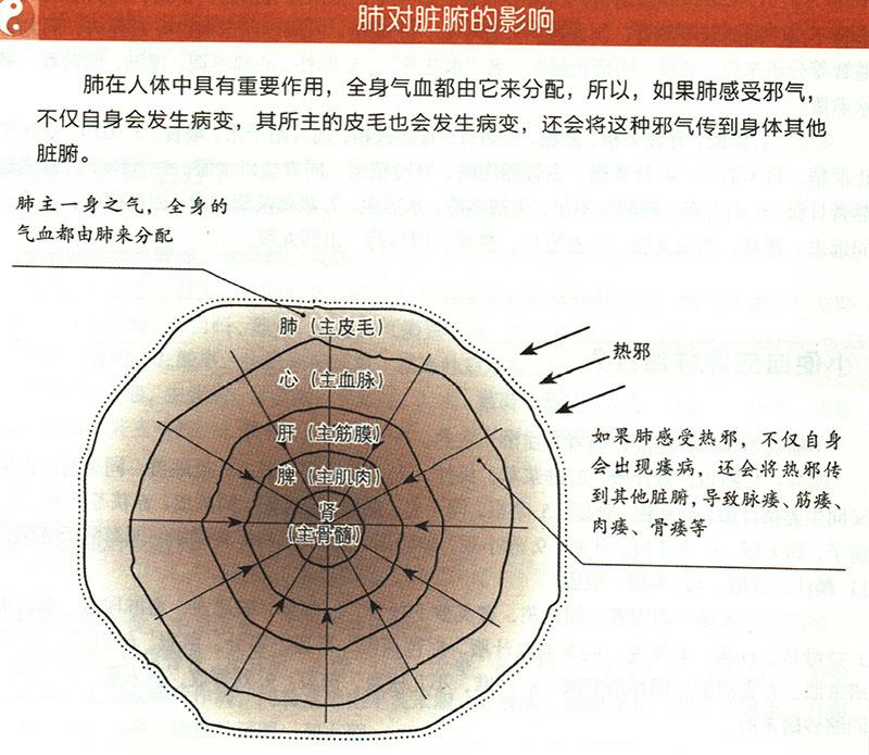 陰痿應(yīng)怎樣治療？