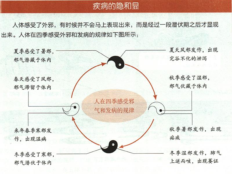 為什么要順應四時陰陽來養(yǎng)生？