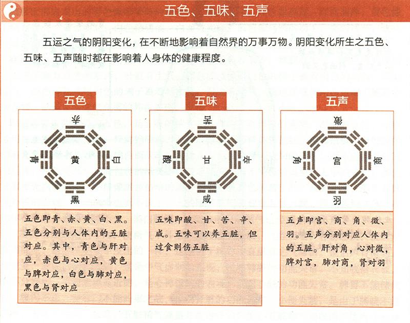 臟腑功能如何在體表上顯現(xiàn)？