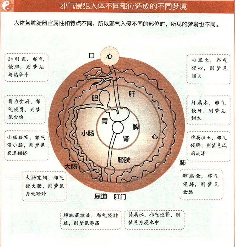 如何從夢境推算健康？