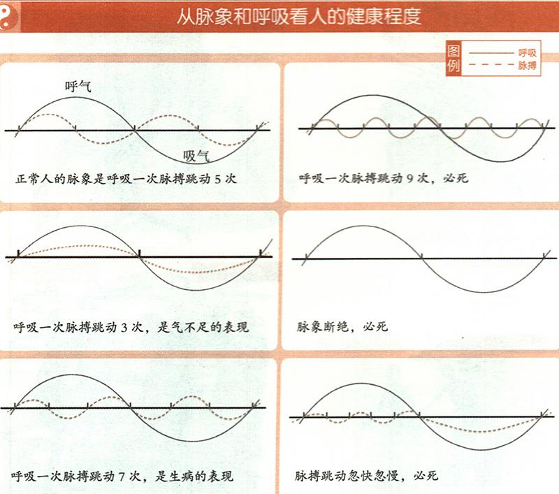 如何從脈象和呼吸推算健康？