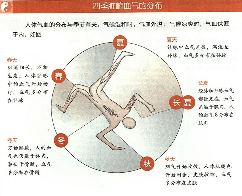 四季臟腑血氣是怎樣分布的？