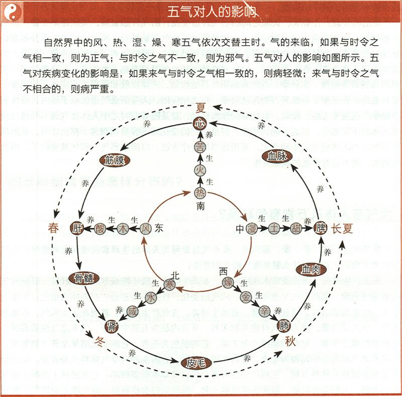 六氣與人體及萬物有何聯(lián)系？