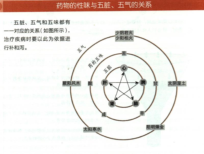 藥物的性味與五臟、五氣有什么關(guān)系？