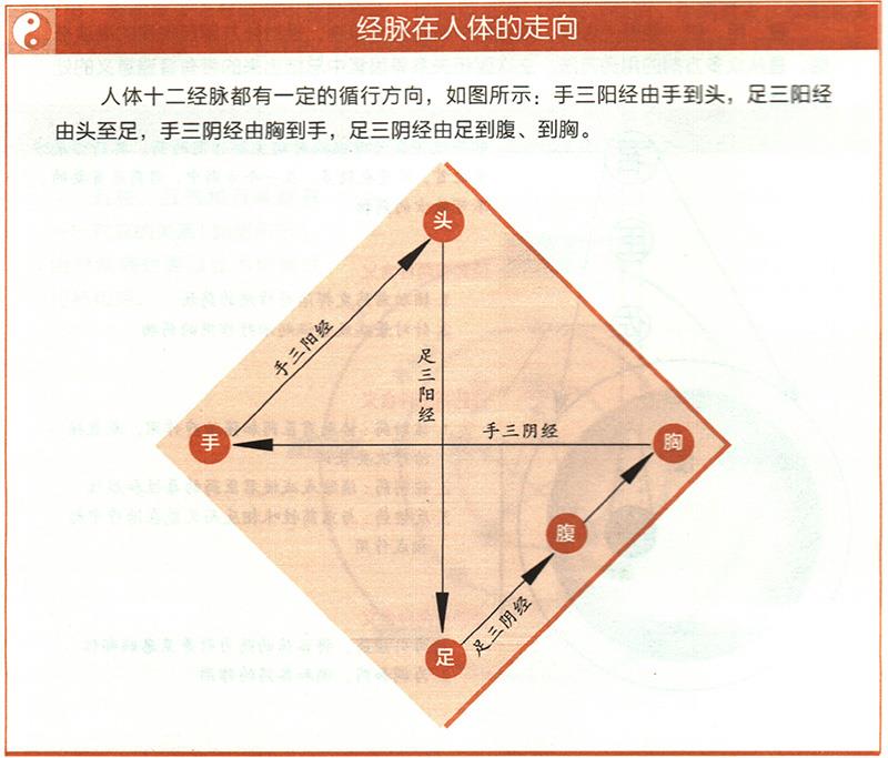 十二經(jīng)脈的起止點(diǎn)分別在哪里？