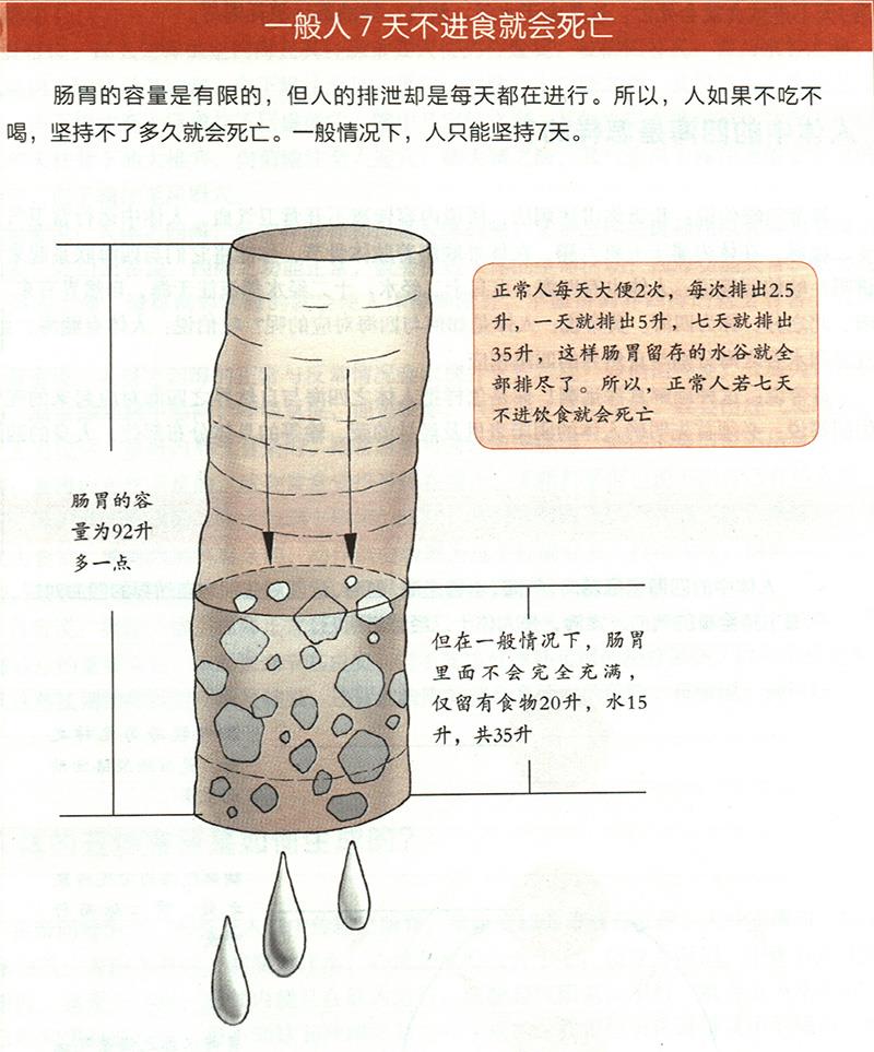 為什么7天不進食就會死亡？