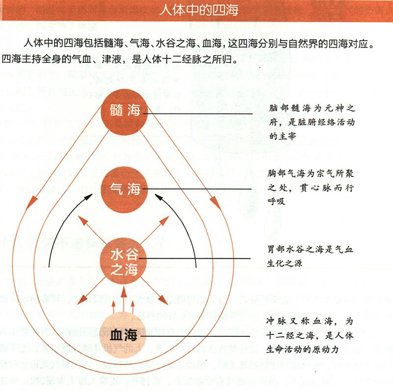 人體中的四海是怎樣的？